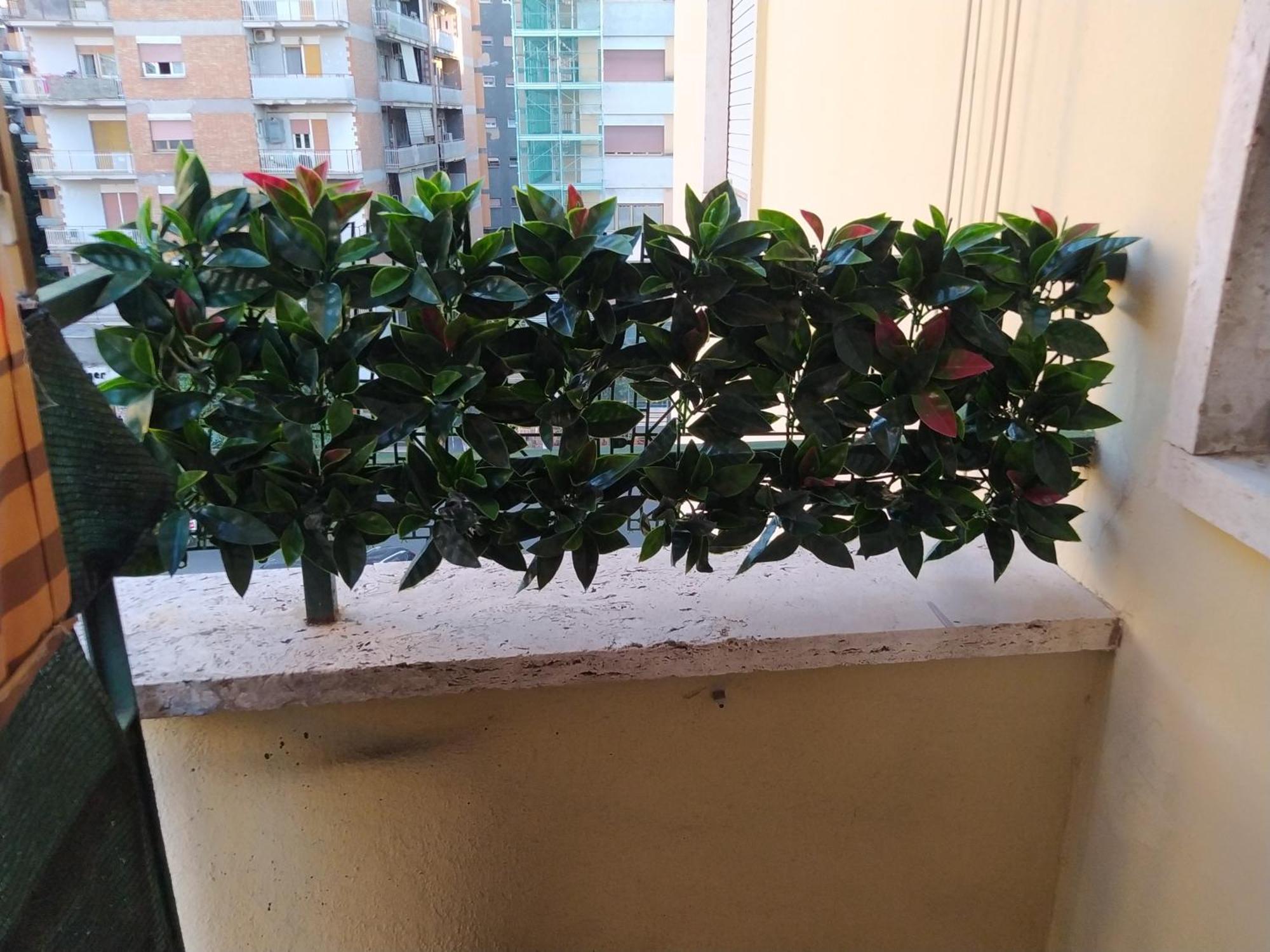 רומא Linda'S Guest House מראה חיצוני תמונה